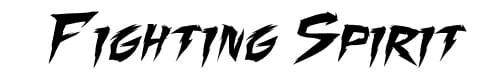 Fighting Spirit Fighting Spirit