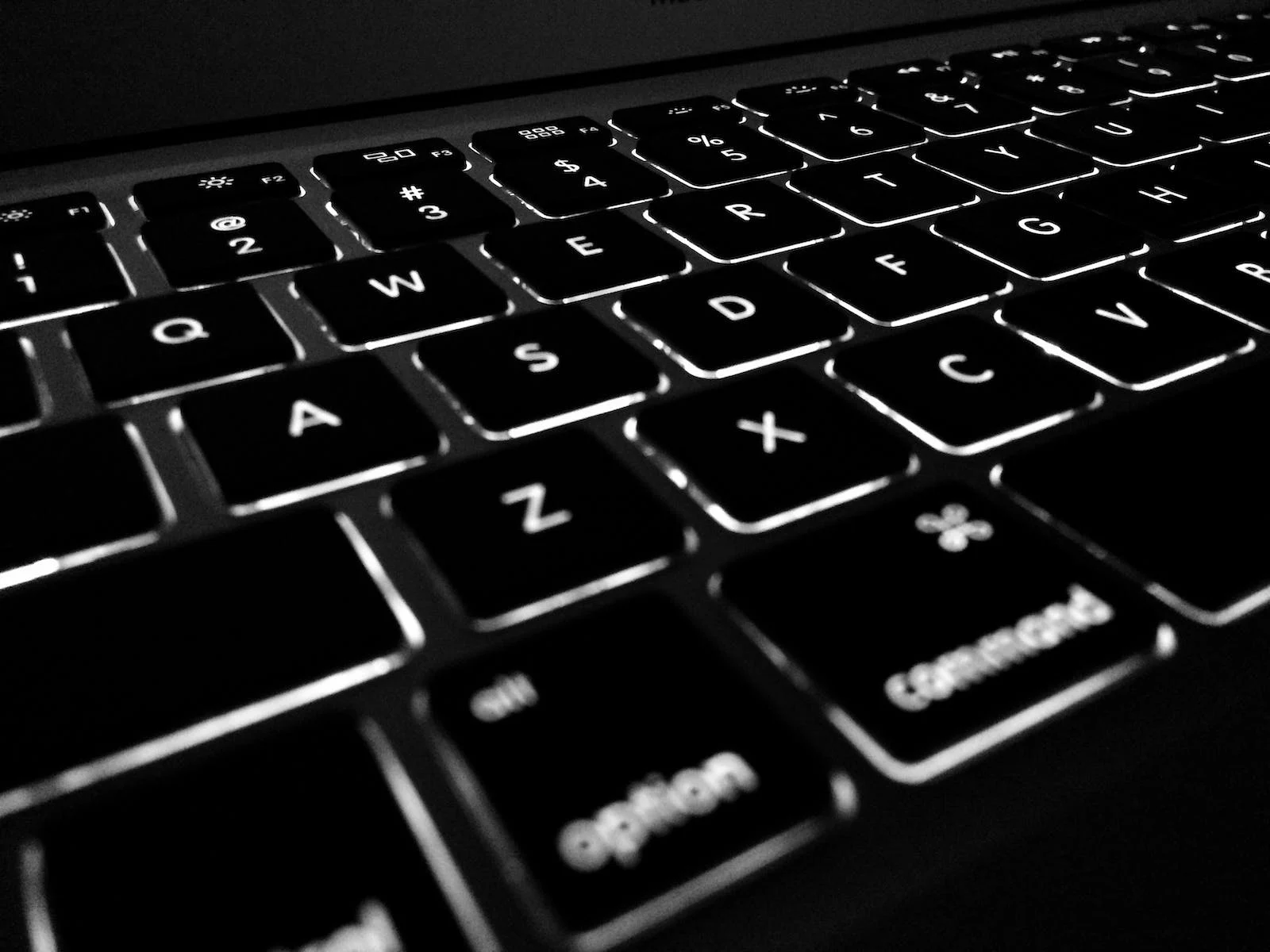 How To Screenshot a Document: Microsoft Tips for Capturing the Best Images 2 pexels photo 220357